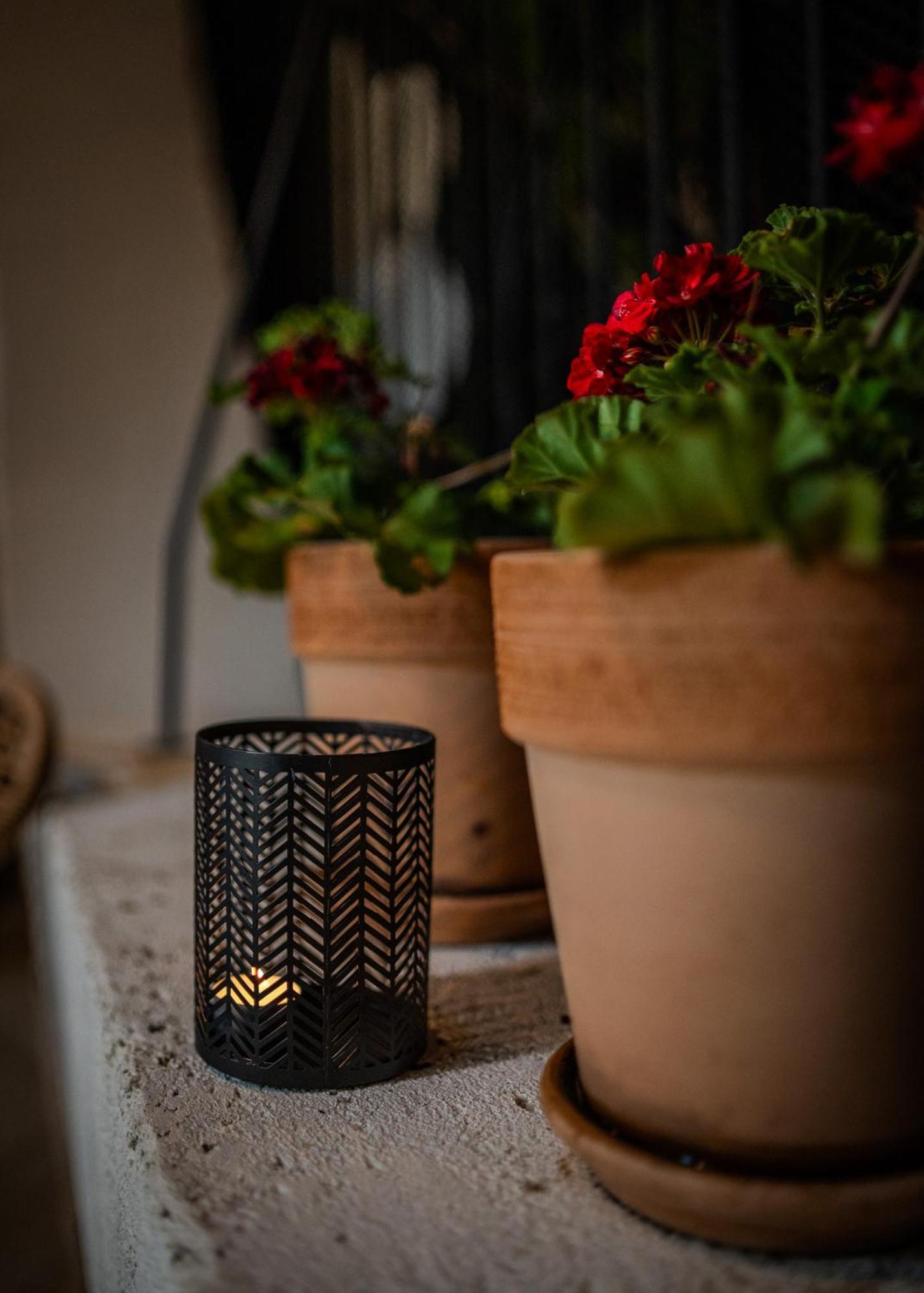 Amaro Luxury Room & Studio Apartman With Balcony Zadar Ngoại thất bức ảnh